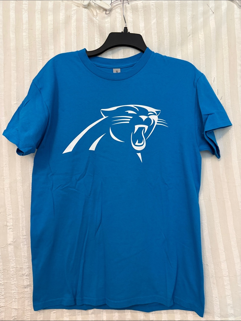 Carolina Panthers-Gildan Turquoise Short Sleeve TPanther Graphic,Size Medium